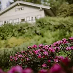 Tyrolczyk * Карпач