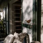 Tyrolczyk Карпач