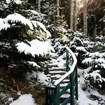 Tyrolczyk Шале *