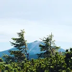 Tyrolczyk Карпач