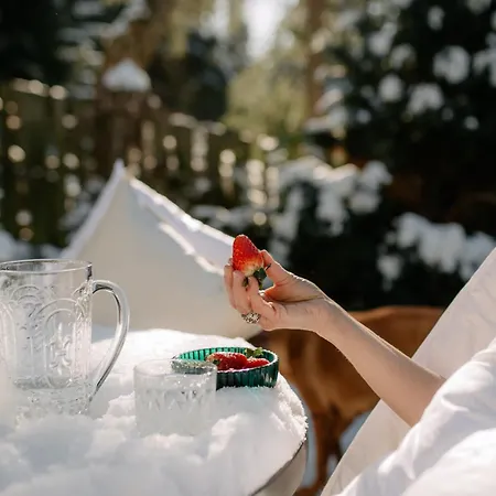 Tyrolczyk Chalet Karpacz