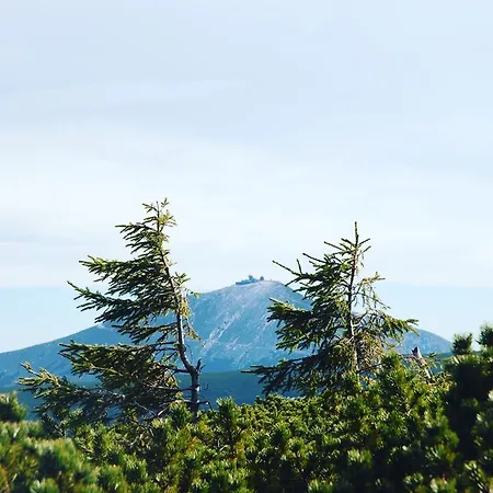 Tyrolczyk קרפאז'